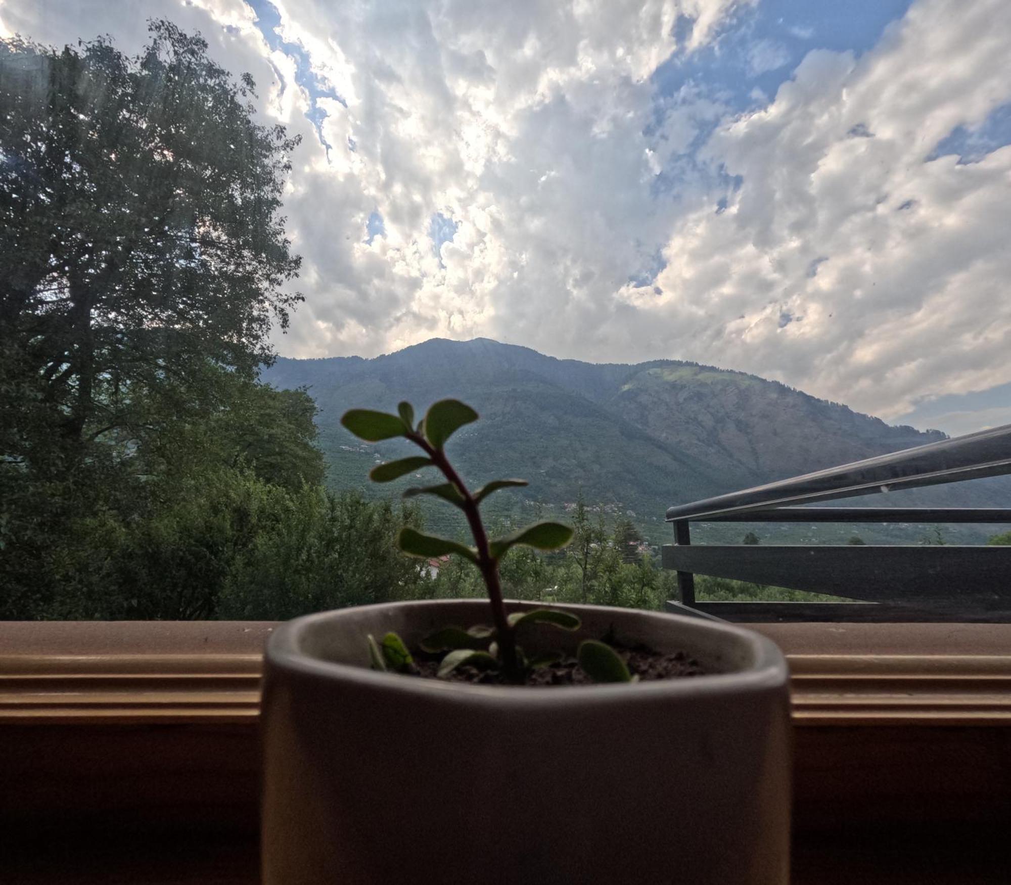 Saanjh - A Serene Retreat Manāli Eksteriør bilde